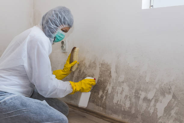 Mold Remediation for Vacation Homes in Newfield, NJ