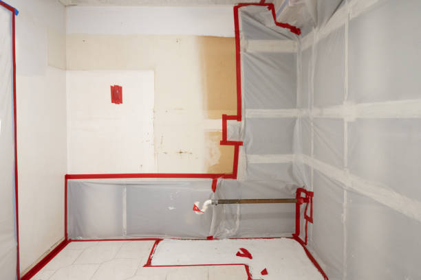 Best Industrial Mold Remediation  in Newfield, NJ
