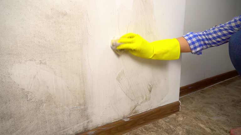 Best Forensic Mold Investigation  in Newfield, NJ