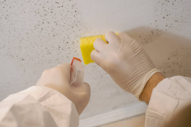 Best Dehumidification Services  in Newfield, NJ